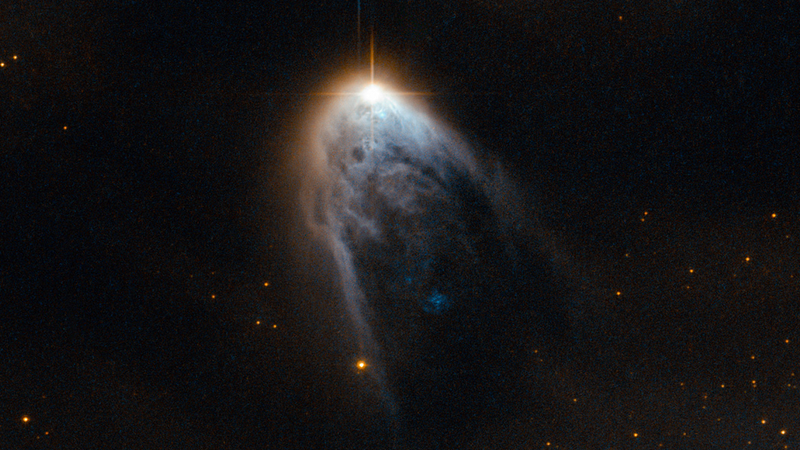 Illustration for article titled An Infant Star Pierces Through Its Birth Cloud